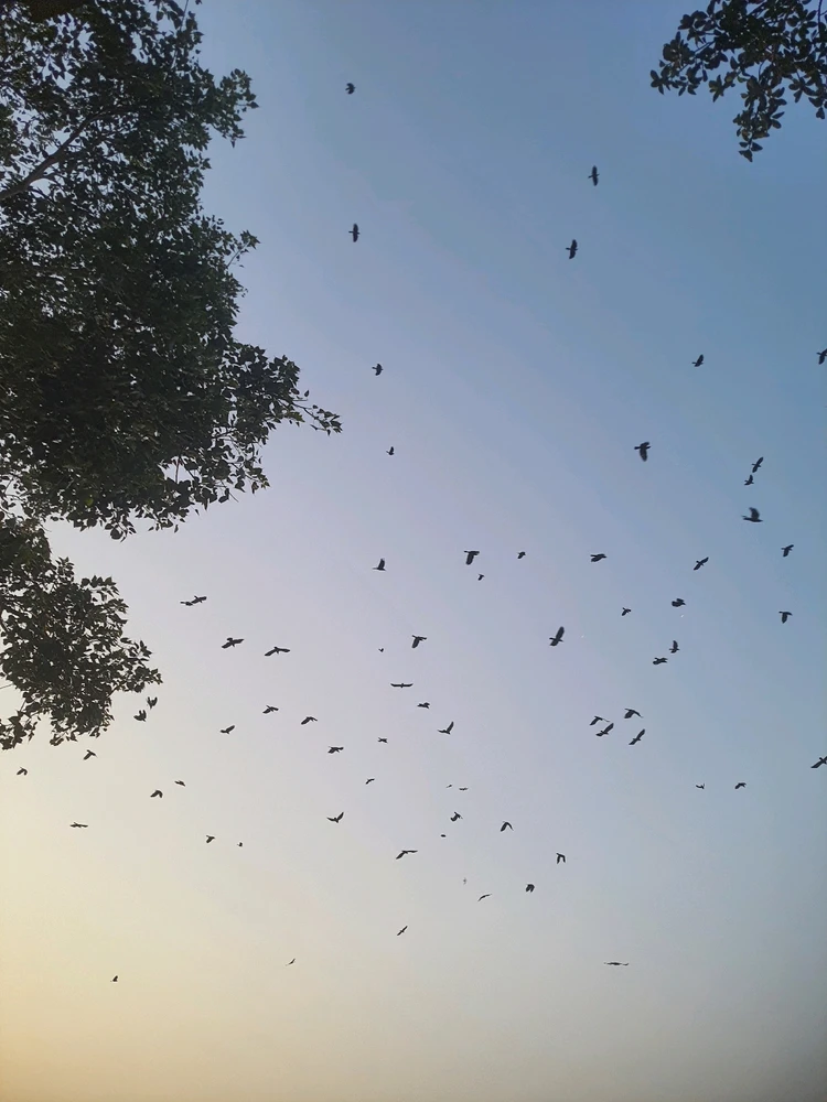 Image uploaded by Suprabhat