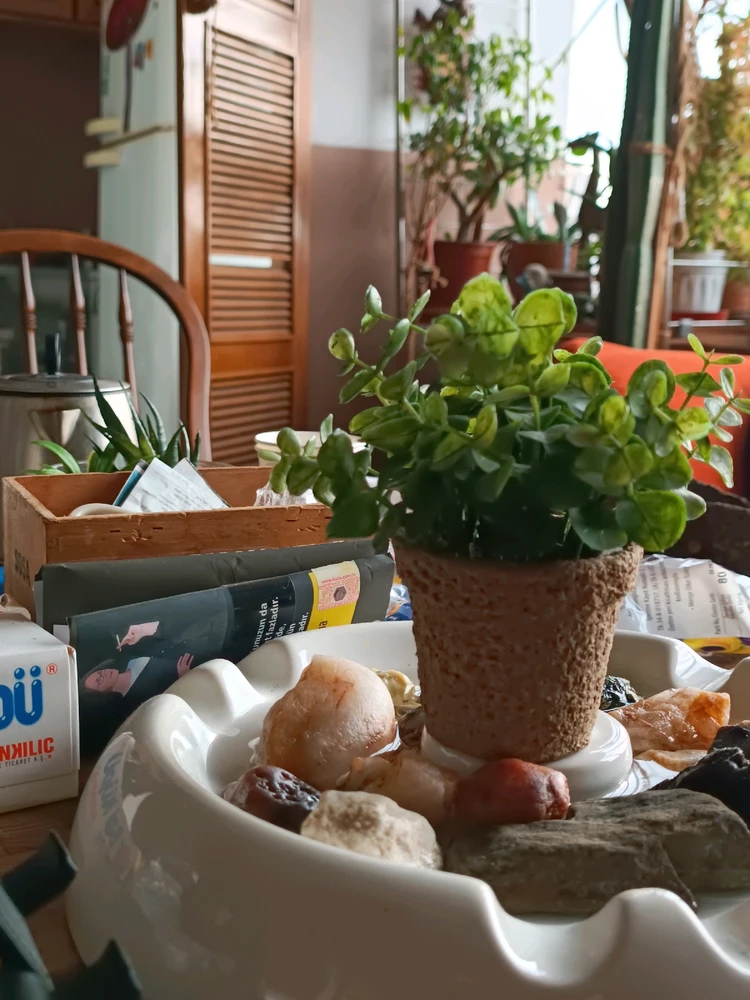 Floyd tarafından yüklenen görsel