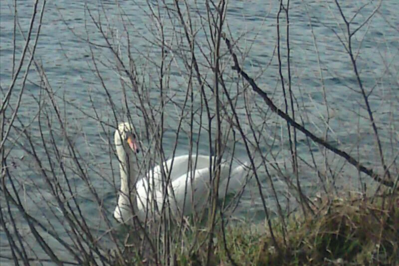 Bild hochgeladen von FunnyGirl ✨🌙✨