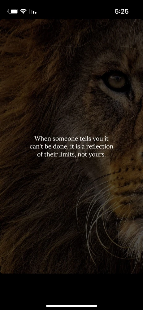 תמונה שהועלתה על ידי David