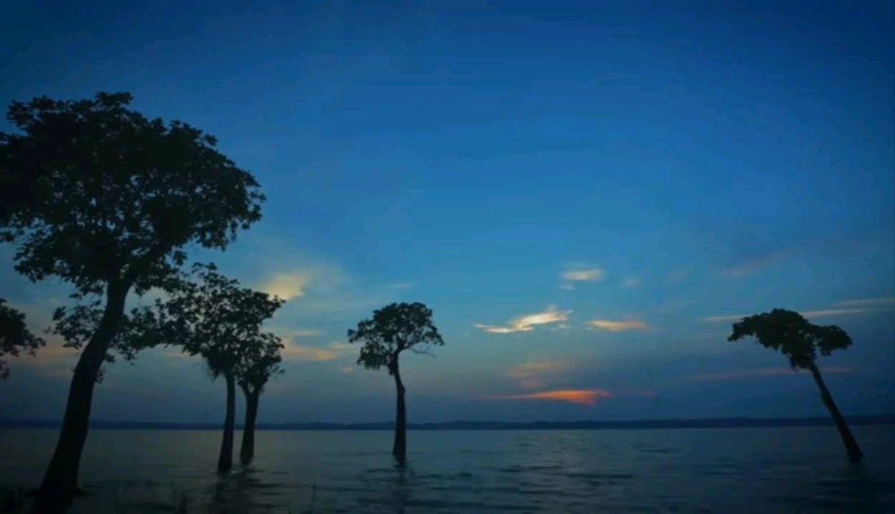 Good evening Gyzz!
