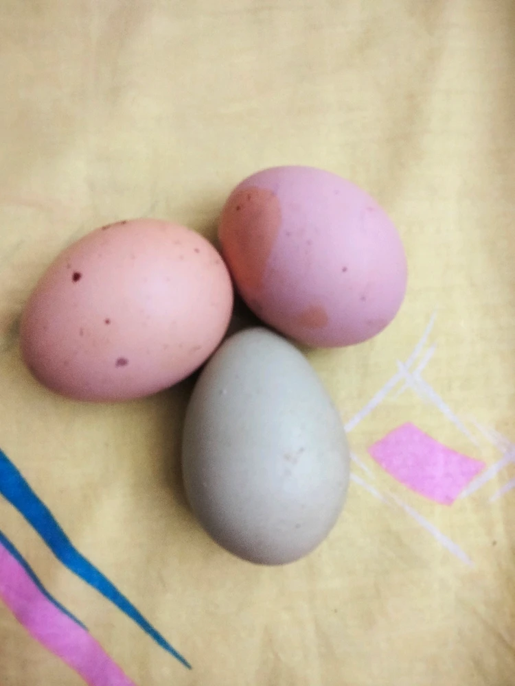 Фото загрузил Денис