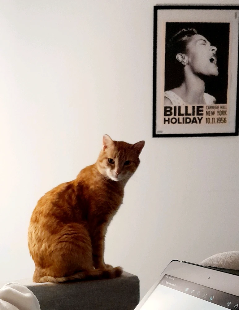 Immagine caricata da Sic