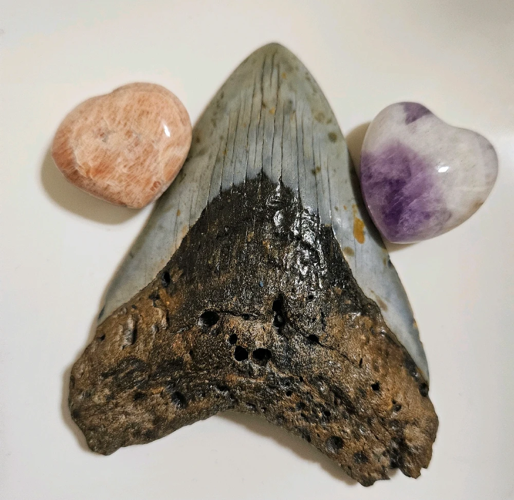 Image uploaded by Susan LeeAnn Smith