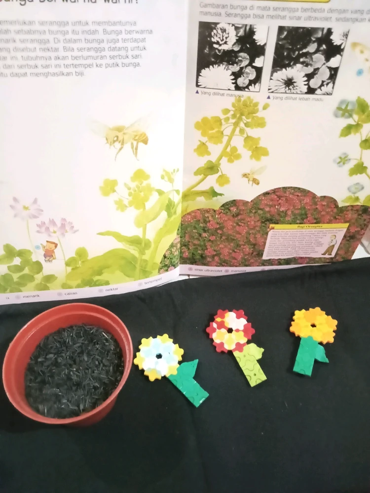 Image uploaded by Nares