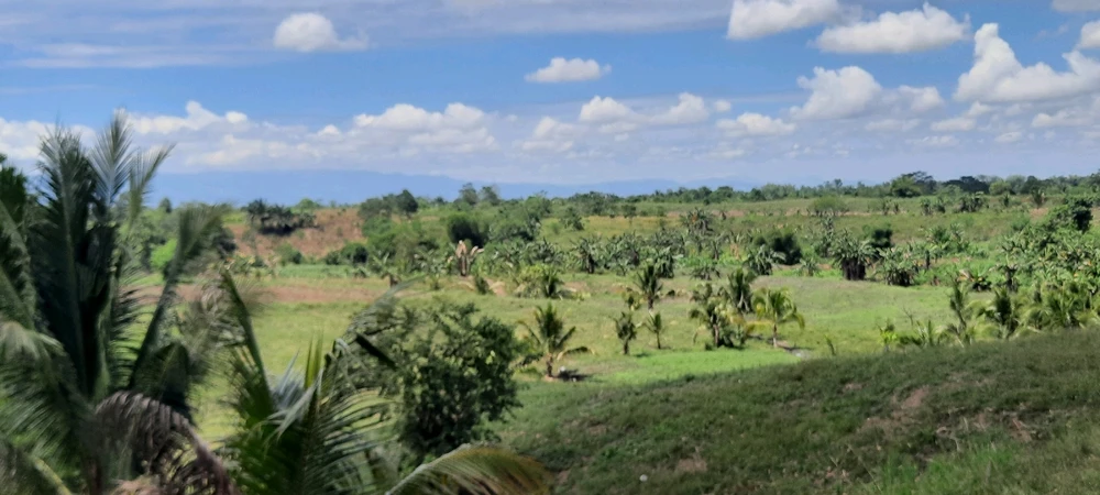 Image uploaded by PJ