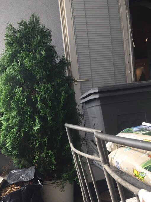 Bild hochgeladen von FunnyGirl  ✨🌙✨