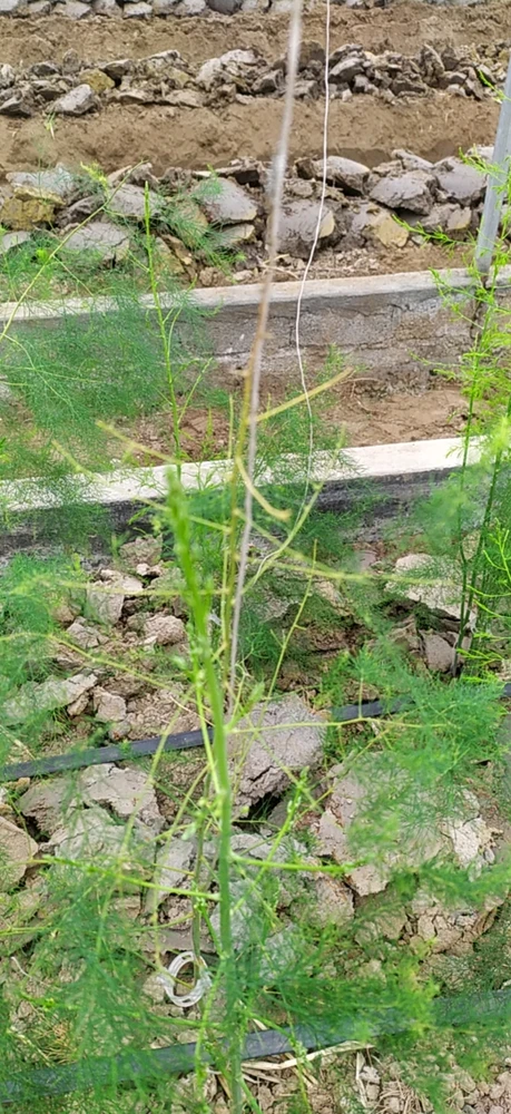 Ảnh do Khánh tải lên