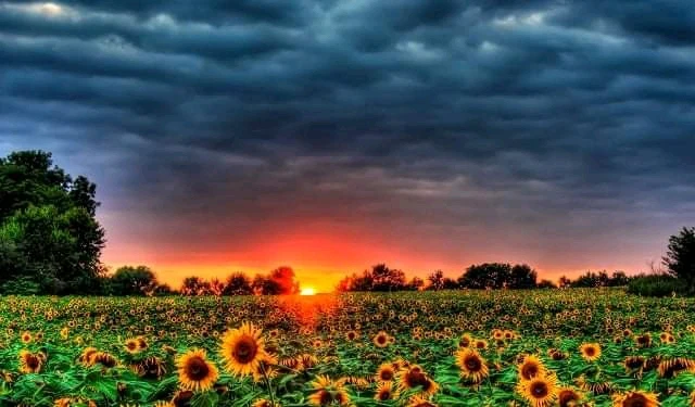 Imagen subida por Alejandro