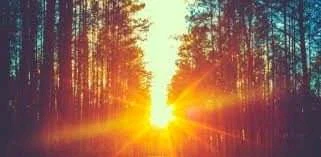 Imagen subida por Alejandro