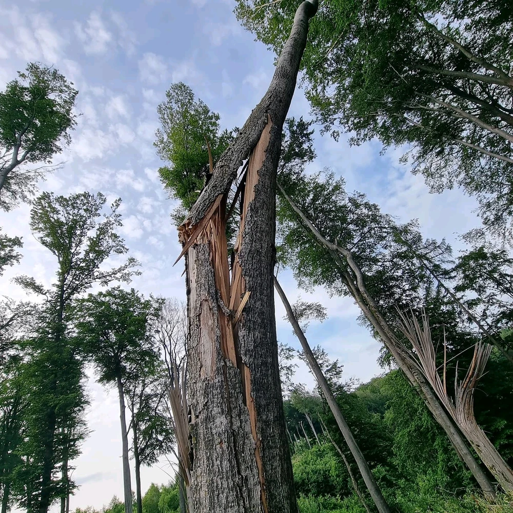 Bild hochgeladen von Mika Grof