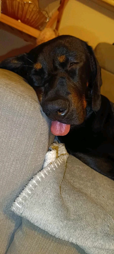 Zdjęcie dodane przez Dan 🐵