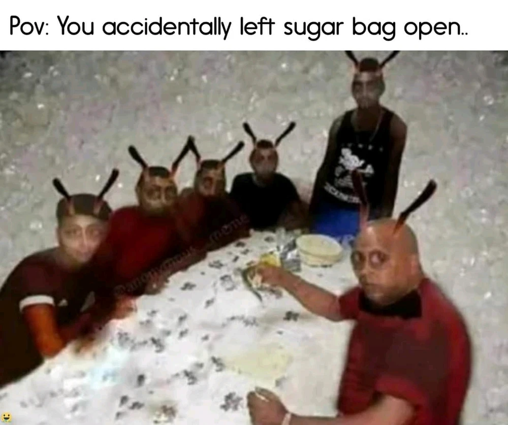 😂😂😂😂☠️ 🐜🐜🐜🐜🐜