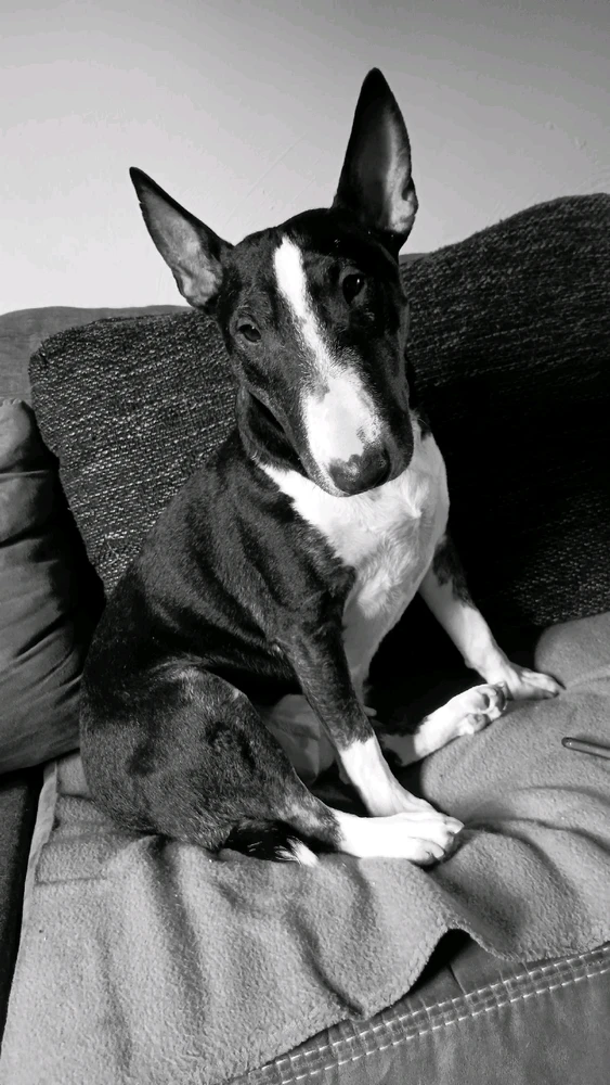 Bild hochgeladen von Eddy