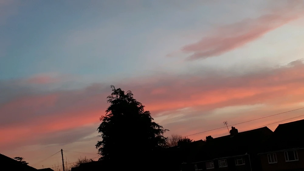 Image uploaded by Benjamin