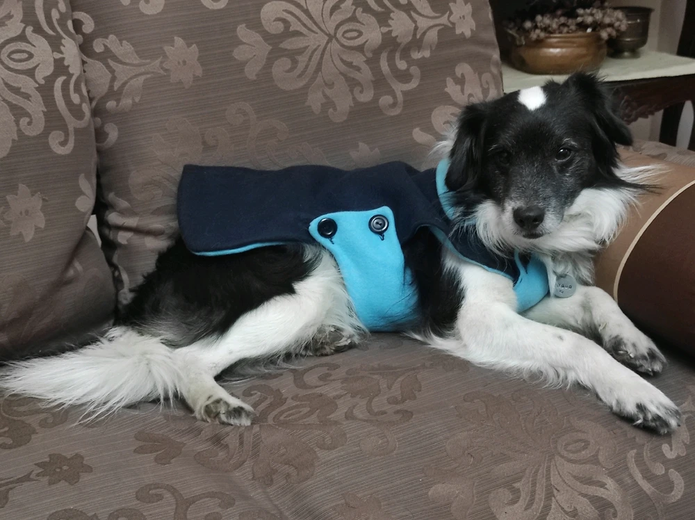 Imagen subida por Andrea