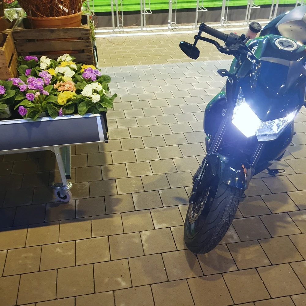 Bild hochgeladen von Roman