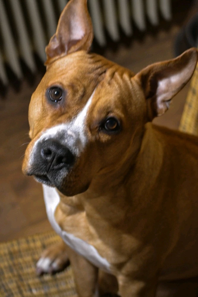 Obrázek nahrál Tereza