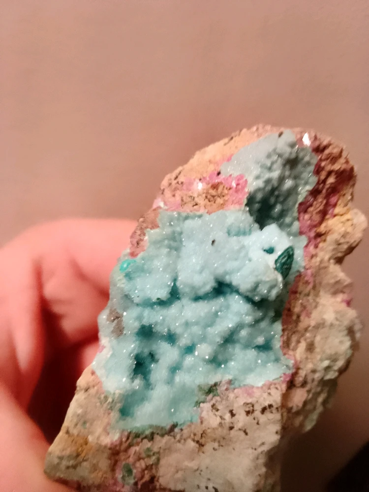 Image uploaded by Katlyne