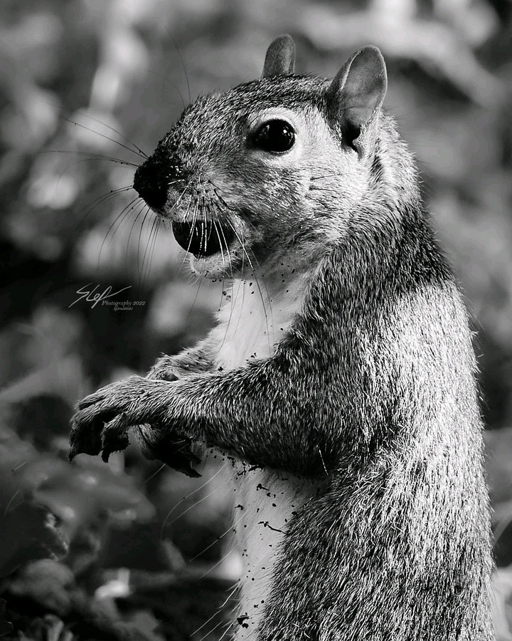 Immagine caricata da Stefano