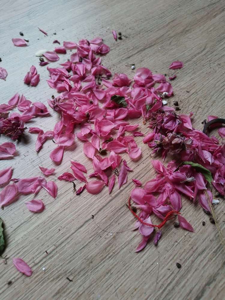 Ảnh do Ml Anhem tải lên