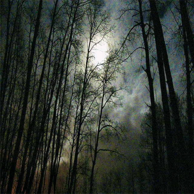 Image uploaded by Chad