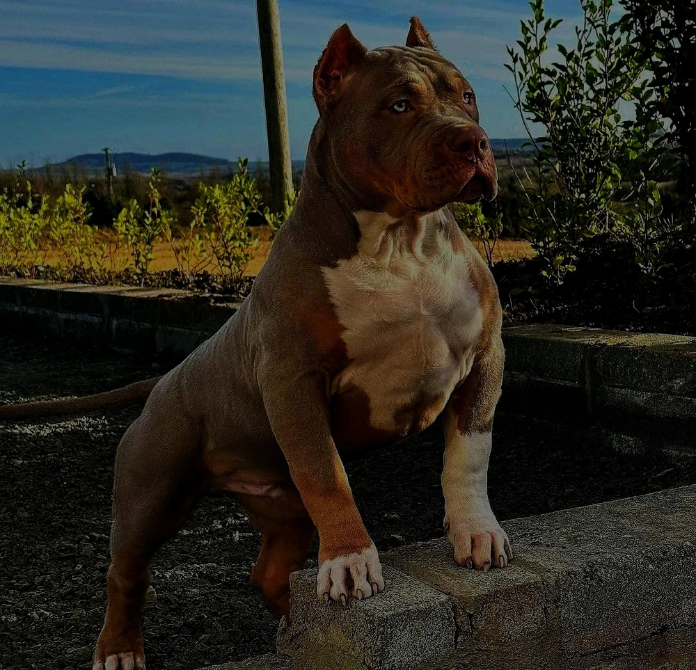 Emre Karakaya tarafından yüklenen görsel