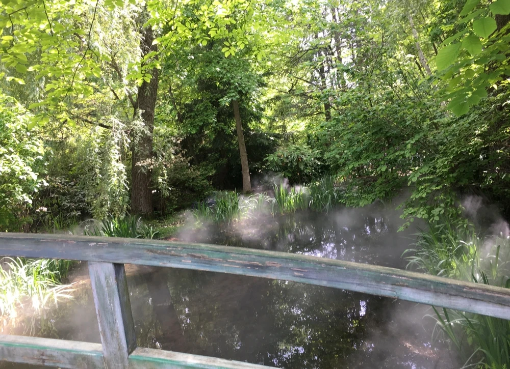 Image uploaded by Melissa