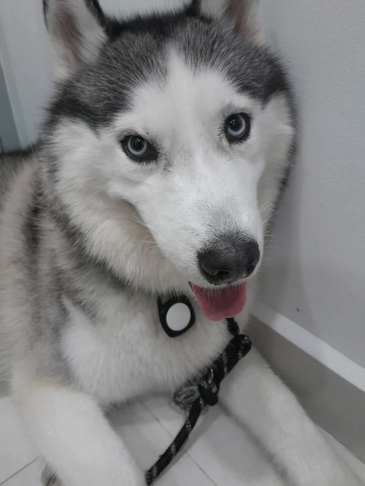 Image uploaded by Khae