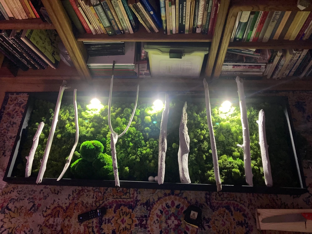 Gambar diunggah dening Ren