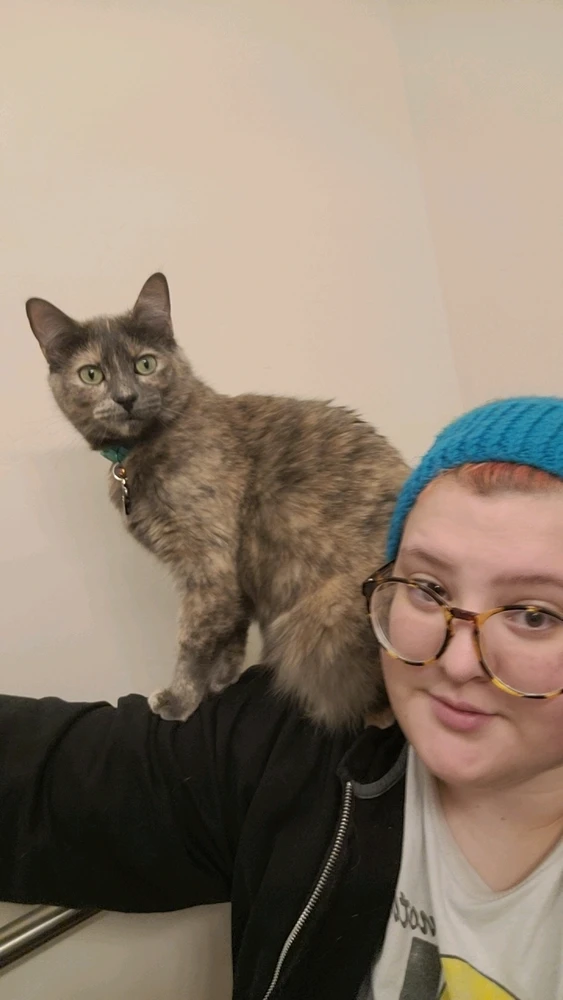 My cat Calypso sitting on my shoulder 