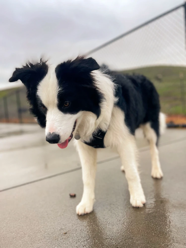 Image uploaded by Matthew