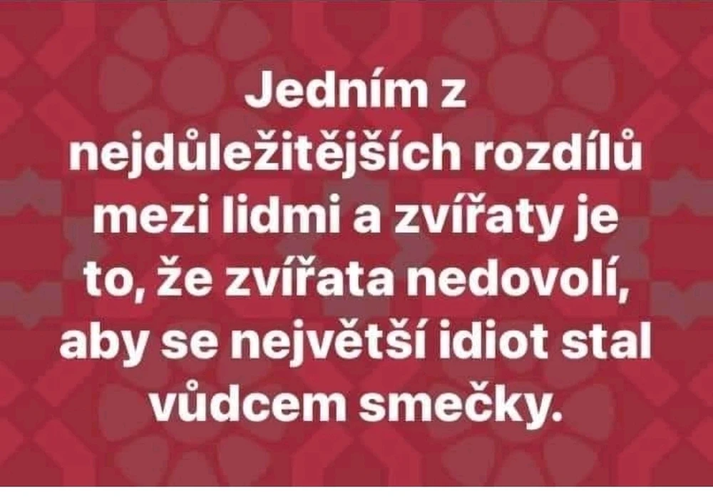 Obrázek nahrál Jakub