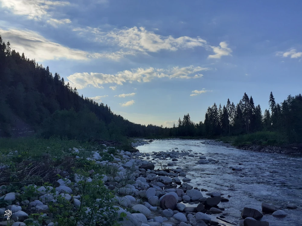 Zdjęcie dodane przez O Wielu Formach