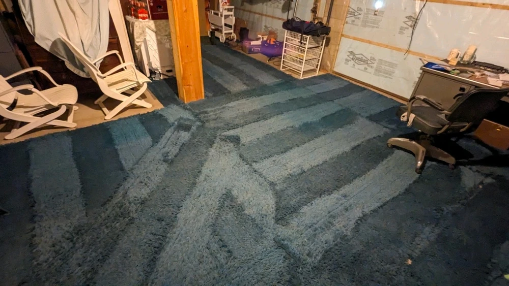 Image uploaded by Daniel