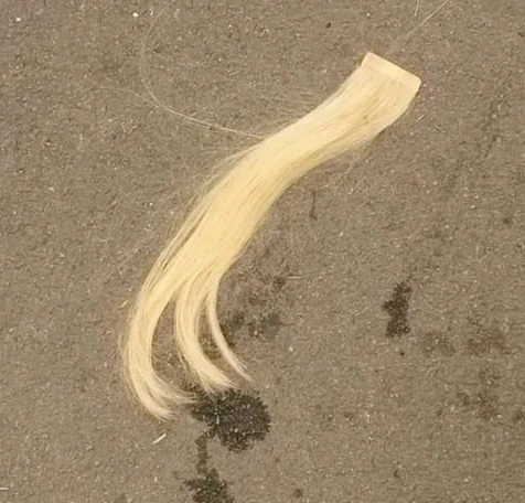 Immagine caricata da Ele