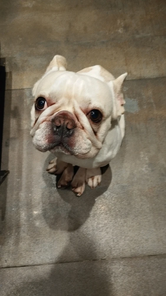 Imagen subida por Ian