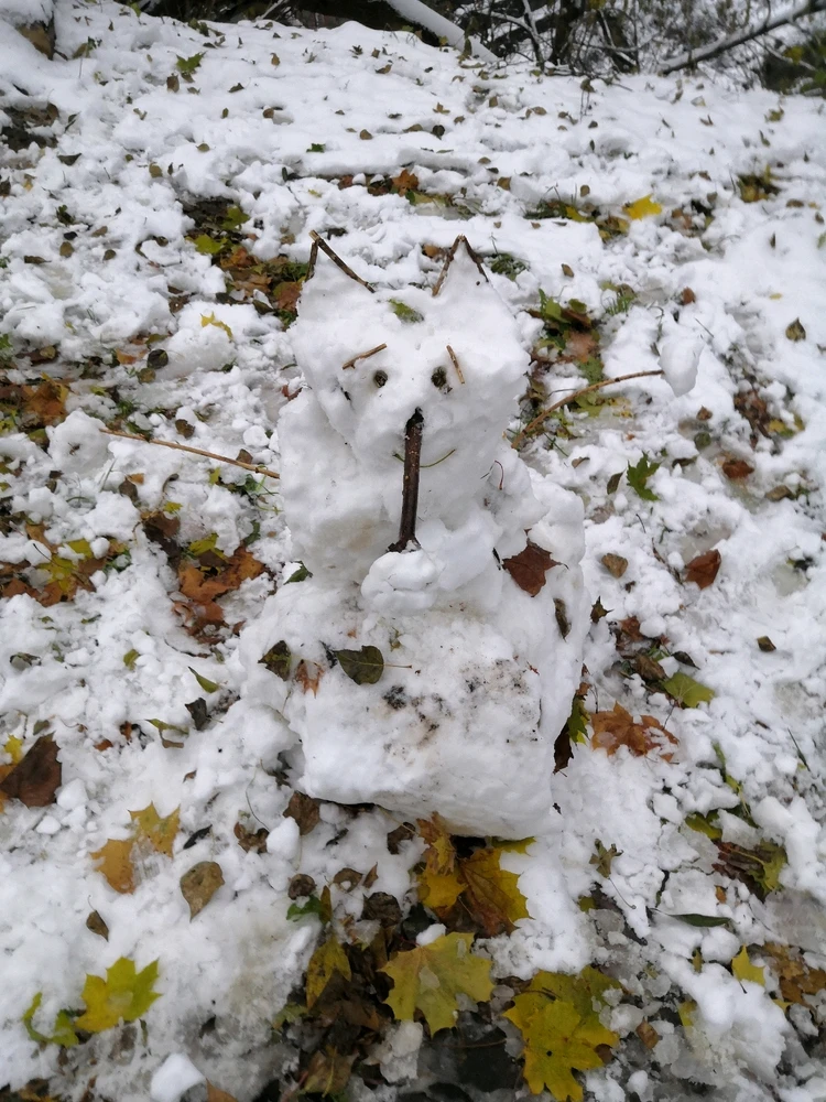 Видишь снеговика?