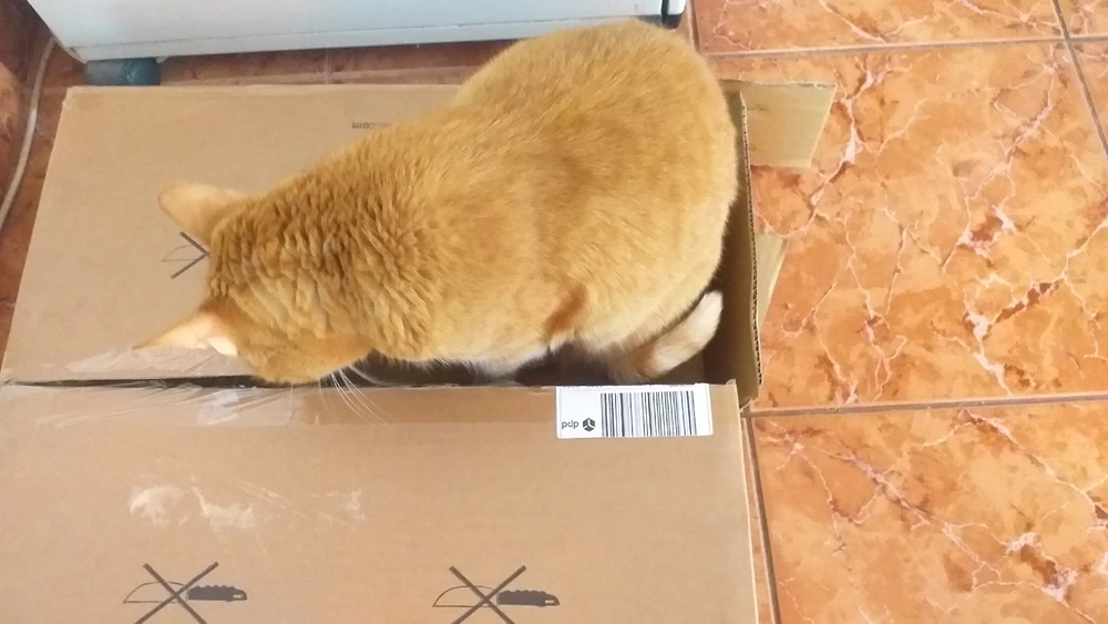 Image uploaded by Cat-a-strophe