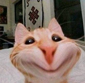 صورة رفعها Veronica