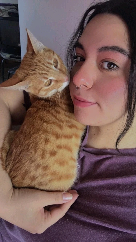 Imagem enviada por Mikeila