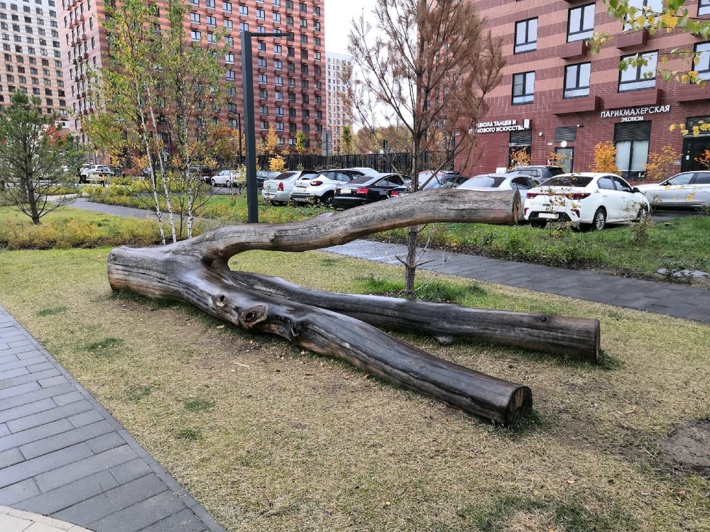 Показалось