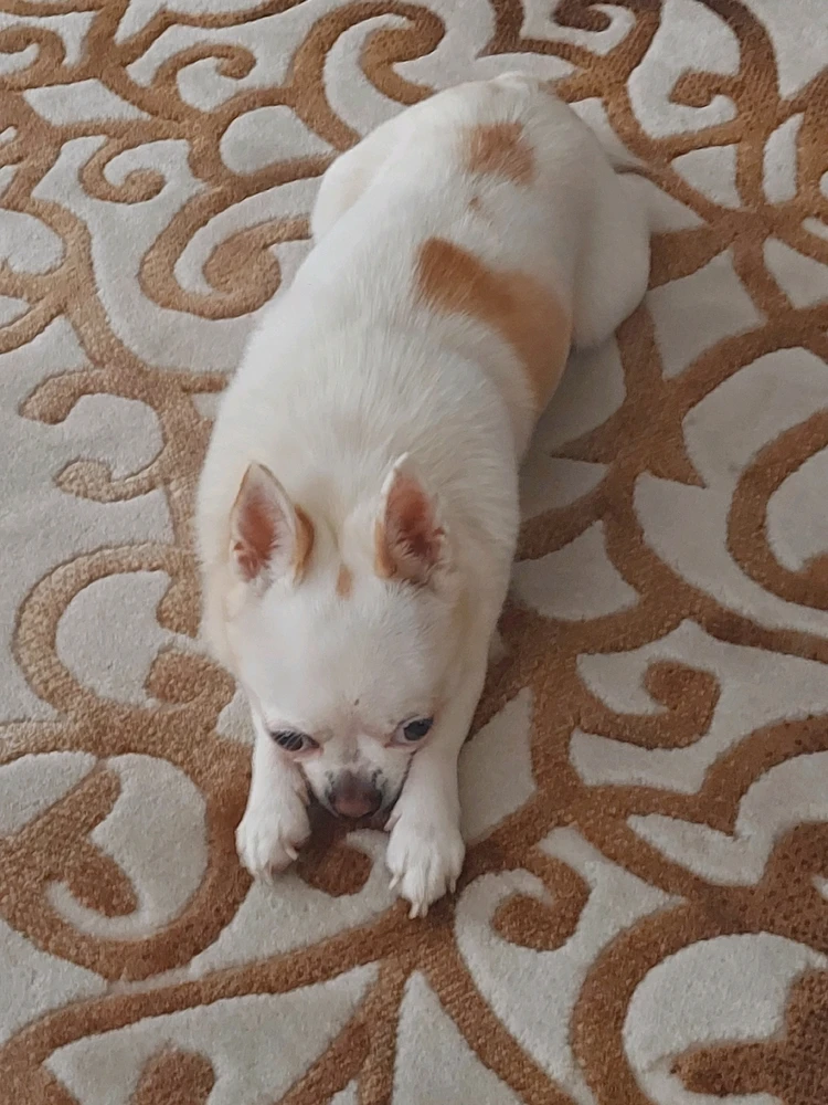 Mert tarafından yüklenen görsel