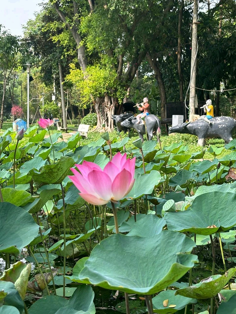 Ảnh do Bảo tải lên