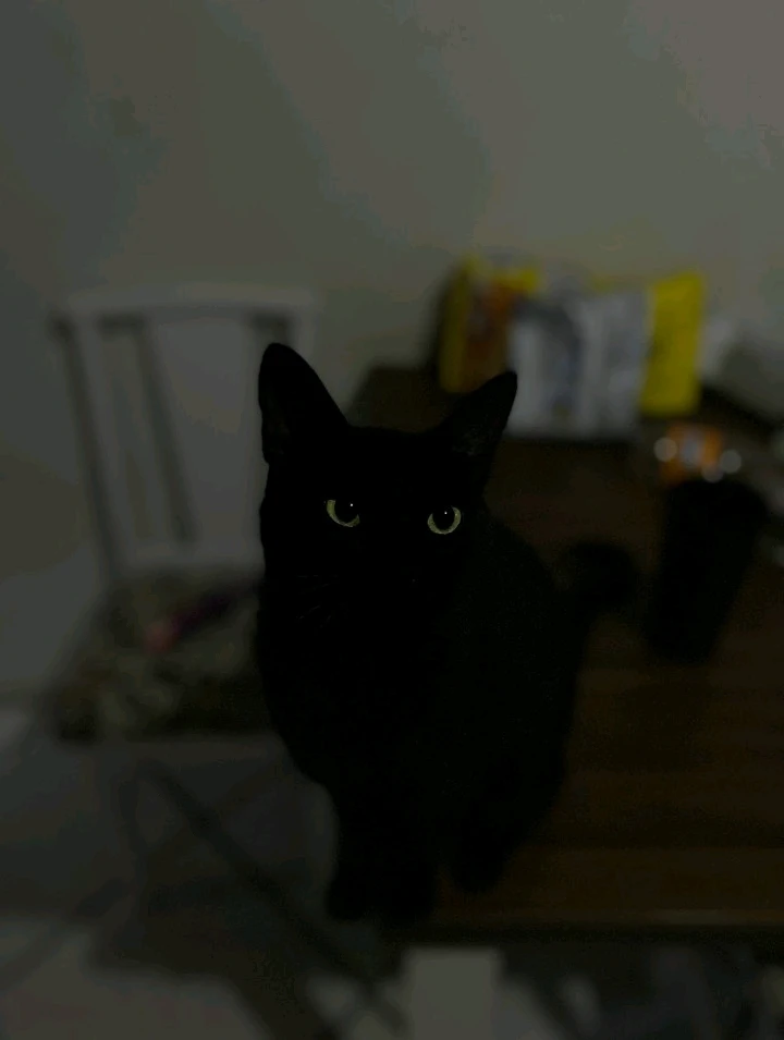 Imagem enviada por Gabriel prussak