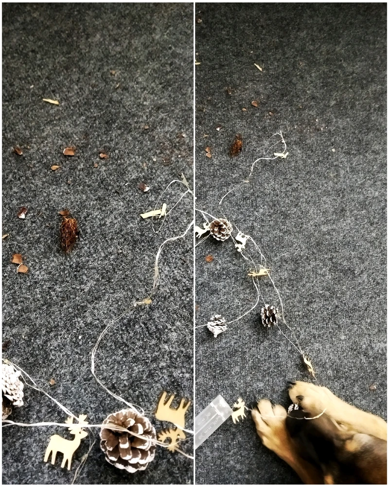 Crime Scene Investigation