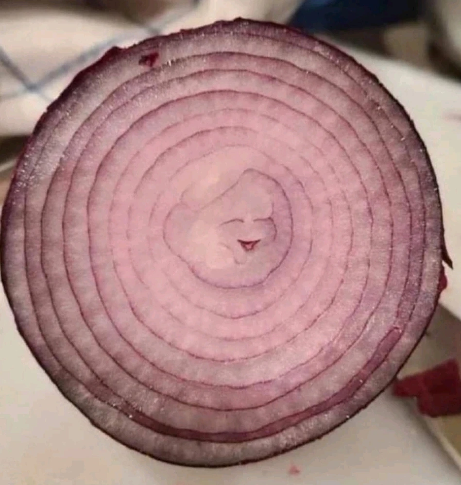 Image ajoutée par Dorian🐞