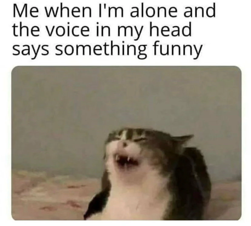 Bild hochgeladen von Justin