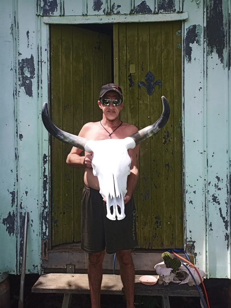 Massive skull nearly finished,cut n polished horns,filled skull ,1st coat paint n noticed I missed bit filler under 1 eye🤬
