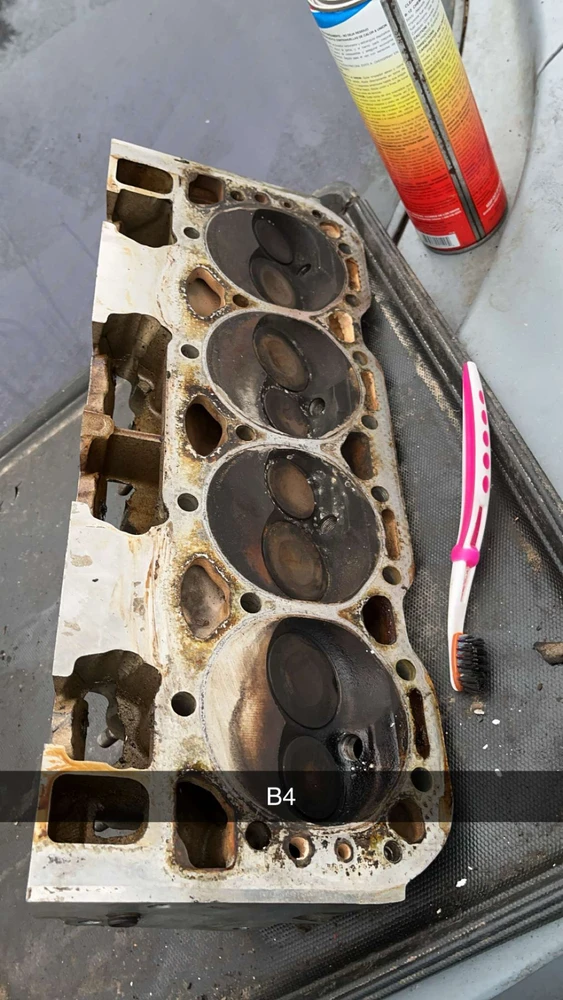 Image uploaded by Jake